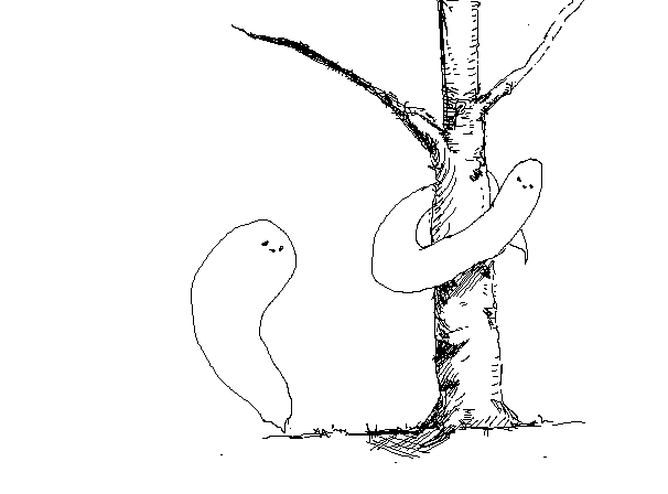 tree ghosts